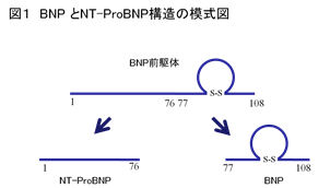 図1