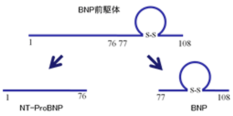 図1